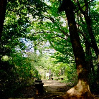 下山します。
山頂を振り返って