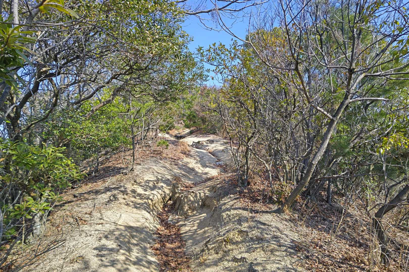 安芸小富士-似島峠-下高山 周回コースの写真