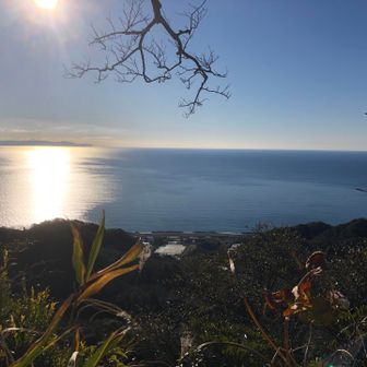 有度山山頂から