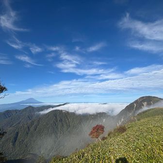 蛭ヶ岳と富士山