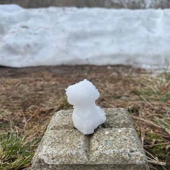 三角点にゴジラ