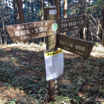 醍醐丸手前で🍙と温かいシジミ汁
シジミ汁はかさばらないマルコメ生味噌タイプ😊「料亭の味」とか書いてあるとその気に😋　この辺りは杉林で日差しがさえぎられ、激しい寒暖差に身体が冷え冷えに🥶　そのせいか左股関節にちょっと違和感　無理せず途中降板、和田BS下山ルートへ

ご参考)
和田峠の北側辺りの通行止め情報
登山道：入山峠からトッキリ場まで
林道：入山峠から入山トンネルまで
お気をつけ下さい