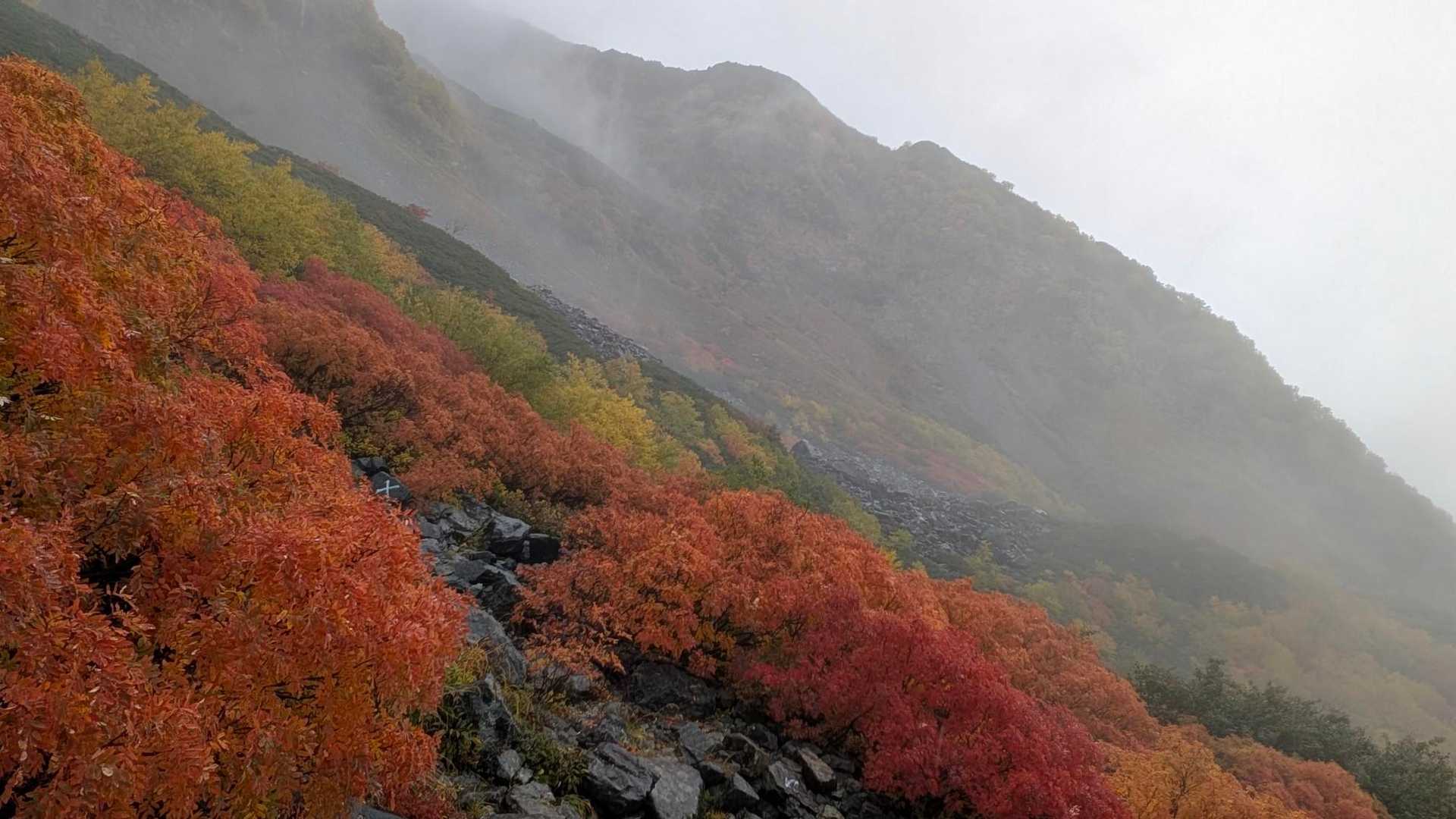 北穂高岳-涸沢岳 周回コースの写真