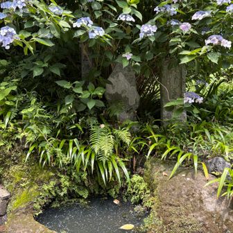 鎌倉十井のひとつ。