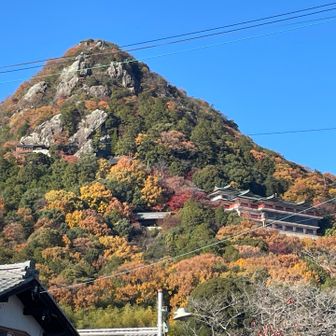 下から見ても迫力ある山です。
