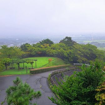 今日は昼前から10㎜を越える土砂降り予報で夕方以降に昨日に続き線状降水帯の発生する可能性ありだそうです！様子を見ながらのんびりと行きましょう！
