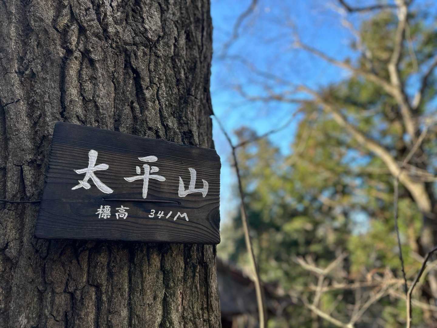 大中寺-太平山-ぐみの木峠-晃石山-晃石神社-青入山-桜峠 周回コースの写真