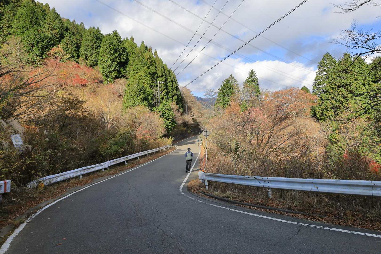 ヤビツ峠からしばらく車道を歩きます。やや下り基調です。