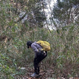 登頂❗️が、読めーん👀