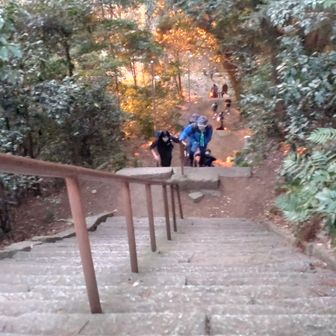 一之鳥居駐車場にいた子供達が百垣（ﾋｬｯｶｷﾞ）を登ってきた～
むかし、天狗がこの300段の階段で修業してたとか、、