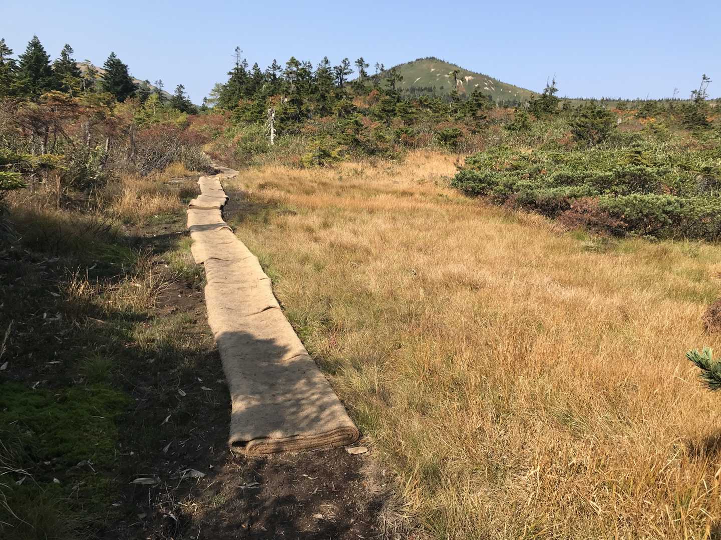 いつも池になっているところが水がない！快適に歩けます