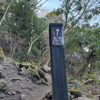 途中、いつもの猫丁場へ寄らないと