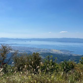 大村湾はキラキラしてました