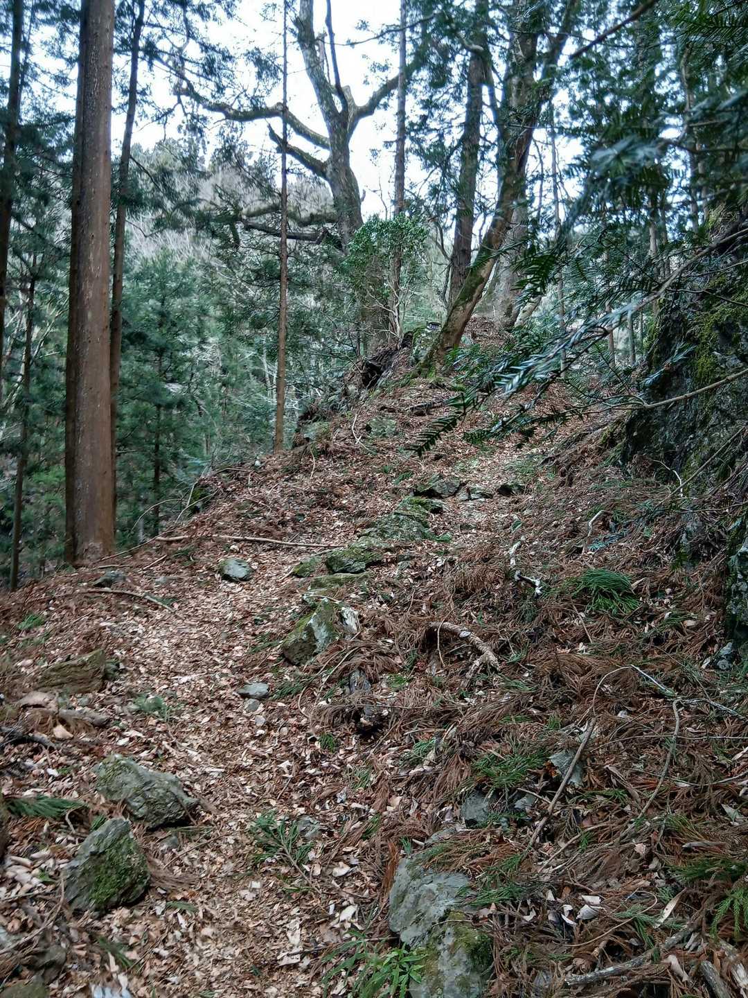 小さな祠が見えます👀