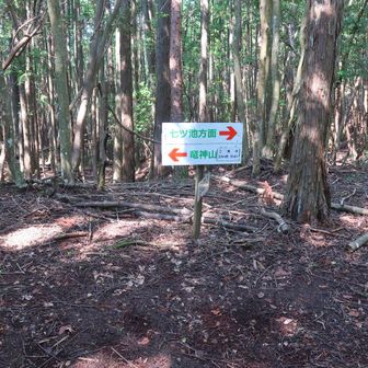 戻って竜神山方向へ