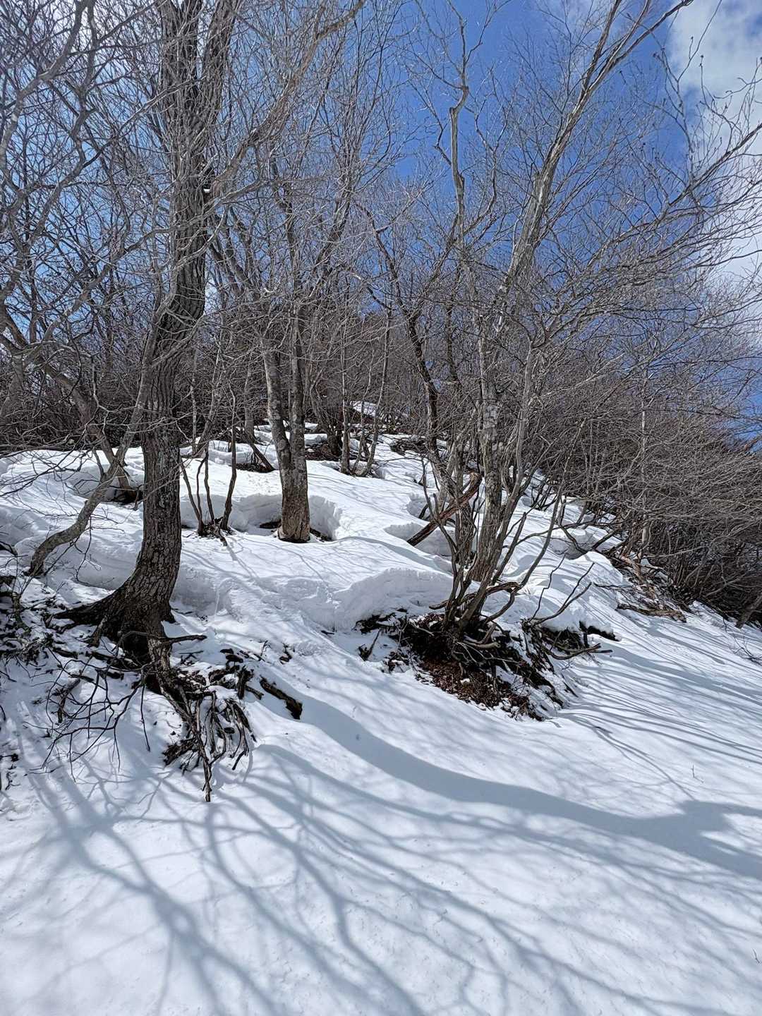 白樫城登り口石碑-白樫城址登山口-小島山-ムネ山-奥谷山 往復コースの写真