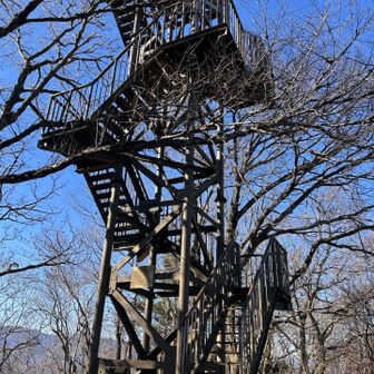 ちょっとでも高いところから見たいんですね…
🐥はめんどくさがりなんでスルー