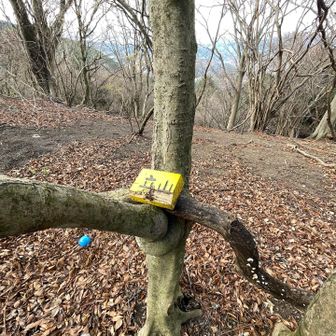 立山山頂に到着