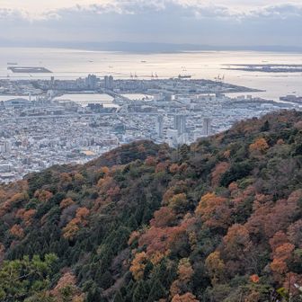 七兵衛山から見る山肌もなかなかのものです🍁