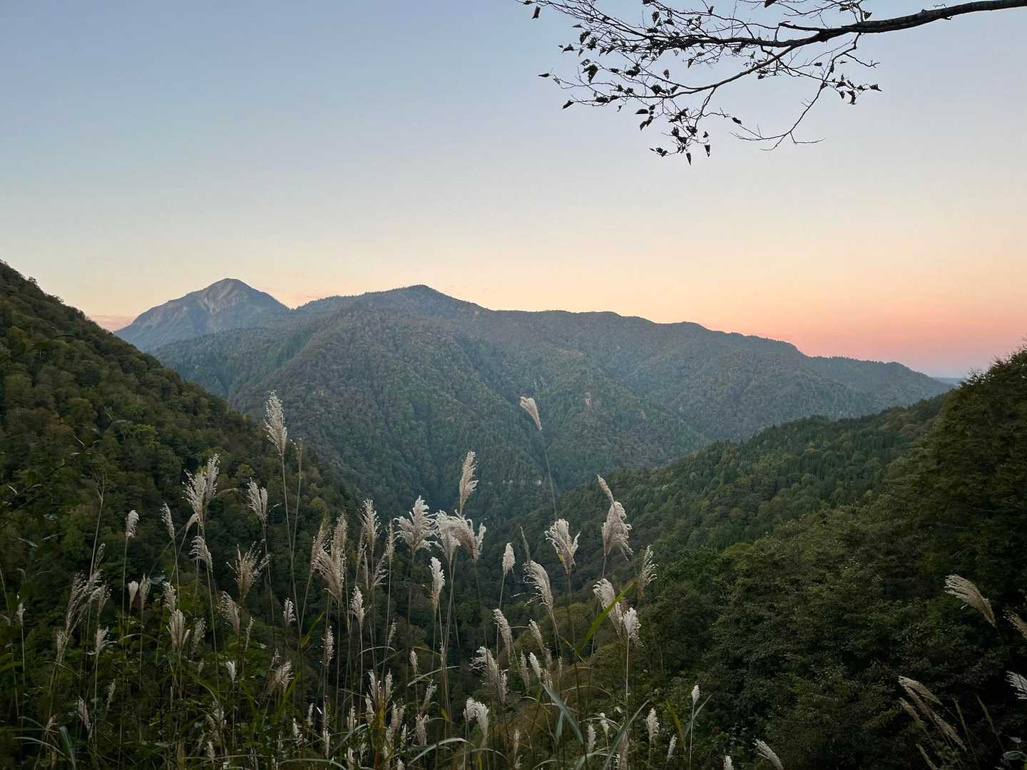 振り返れば
左のトンガリは鳥甲山
イケメン！
