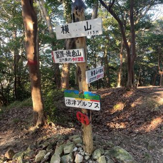 横山、到着です。