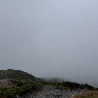 南峰に到着、真っ白