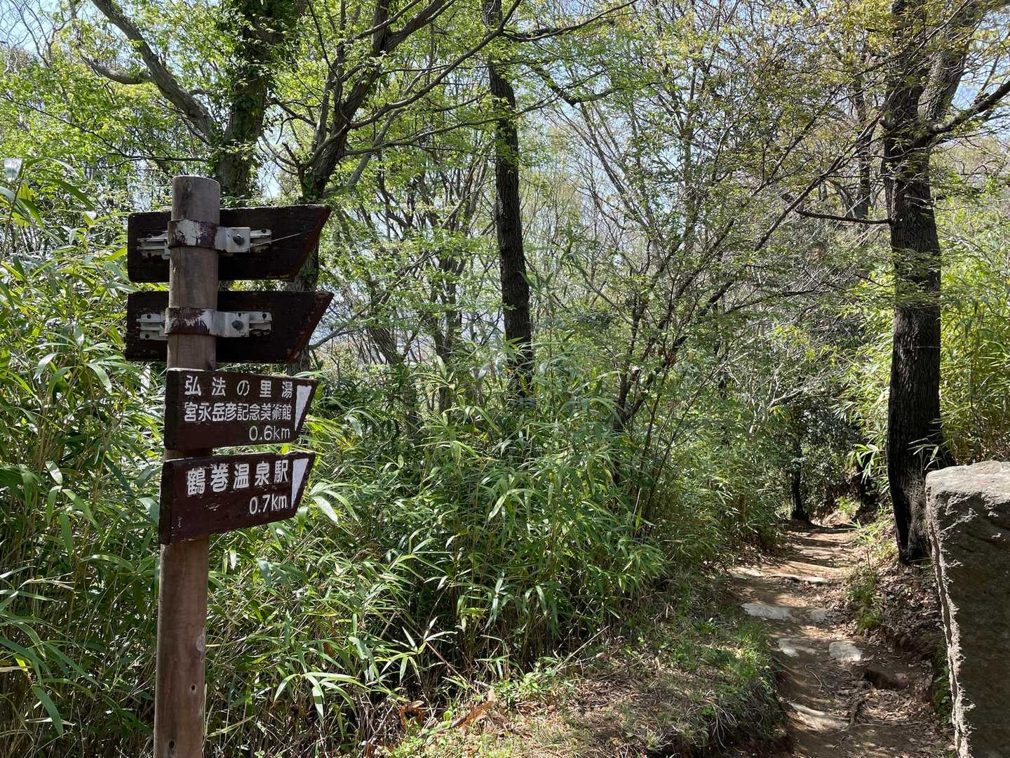 【フラット登山】海から山へ丹沢を目指す　湘南から幾重もの山と谷を越えての写真