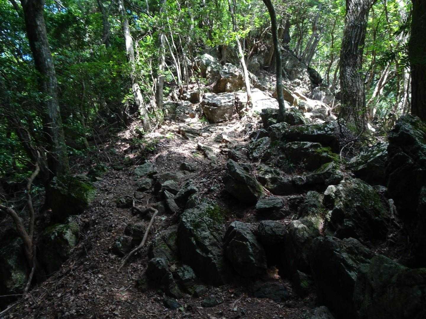 馬頭刈尾根の岩場を登って進む