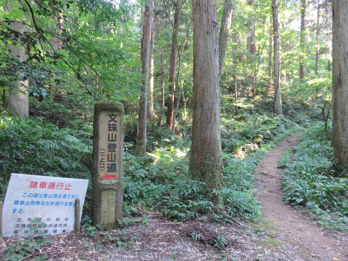 毎日同じコース、右側旧道から