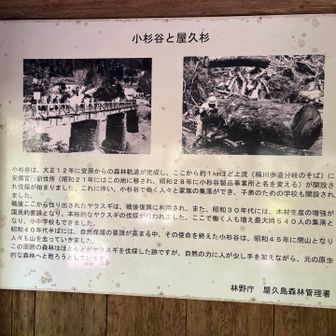 小杉谷小中学校の跡