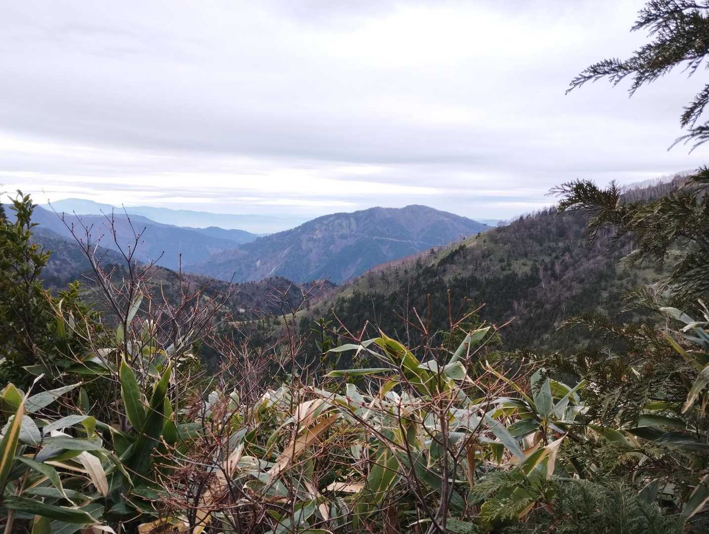 小秀山 往復コースの写真