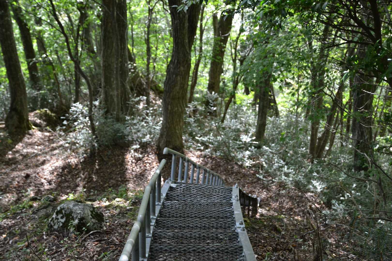 ありがたいですね。
