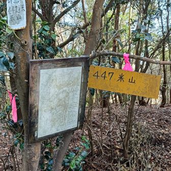 米山　から先はYAMAPにルートはないけどめちゃくちゃいい道が通津まで続いています。
