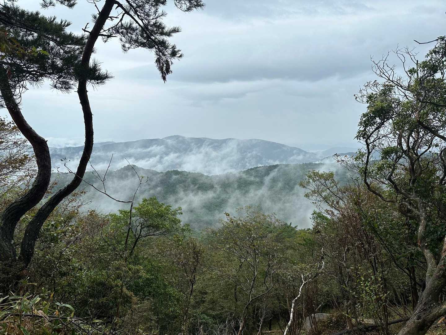 雲海&山がいい感じです😊✨