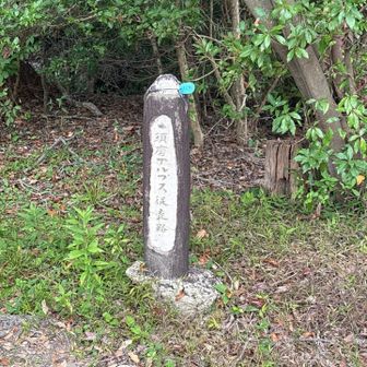須磨アルプス縦走路の碑も発見！