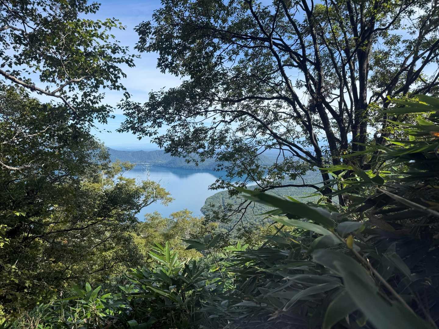 北尾根登山口-風不死岳 往復コースの写真