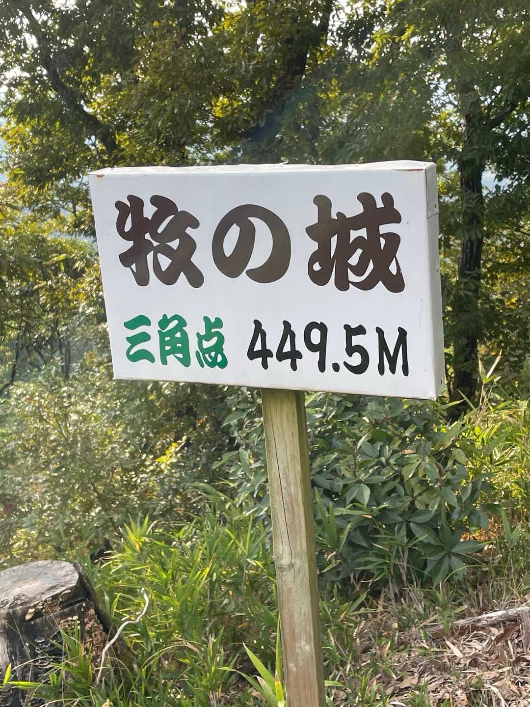 牧の城　到着　449.5m