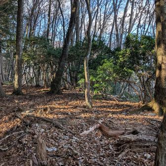 平石山、この辺なのだが。。。