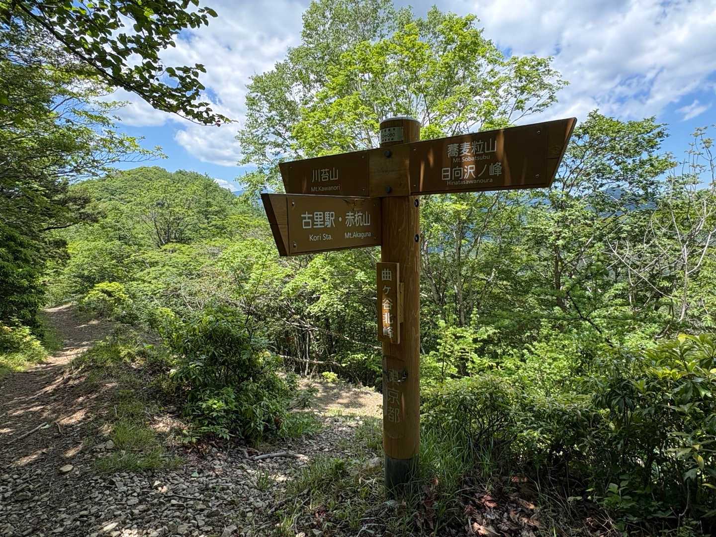 曲ケ谷北峰（標高1327）到着

分岐からのピストン
山らしくはありません
