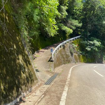 登り口