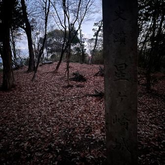 星ヶ峰⭐️⛰️真っ暗です🦇

山頂の柱と思ってたけど星ヶ崎城跡🏯でした

わからんくらい真っ暗です🦉