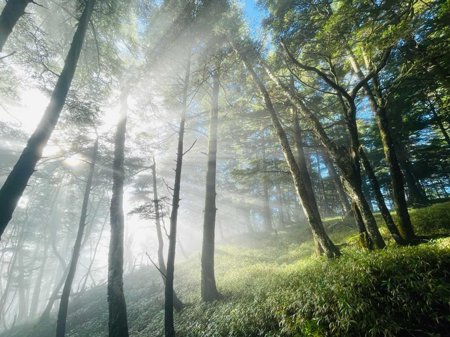 ガスの中朝日が差す☀️