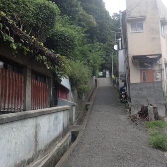 青山道より入山🚶