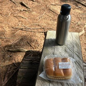 すぐにごはん。
お仕事してきたから早いけどいいかな！