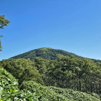 目標とするイチャンコッペ山の前山展望台。