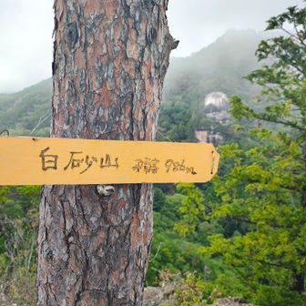 さっきもそうだが天気が悪いからか、スマホもスマートウォッチも標高が結構ずれてました