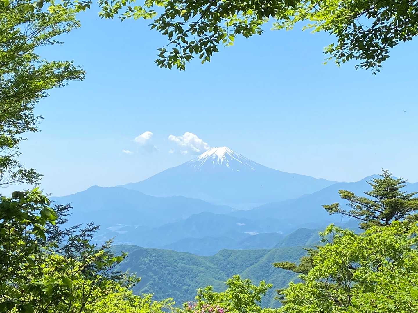 森林館-木材工芸センター-鞘口峠-見晴らし小屋-三頭山-三 縦走コースの写真