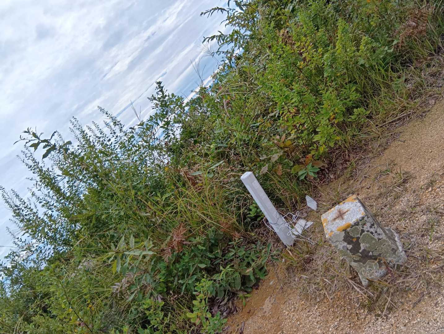 赤崎神社-小浜山登山入口-小浜山-赤崎登山口 周回コースの写真