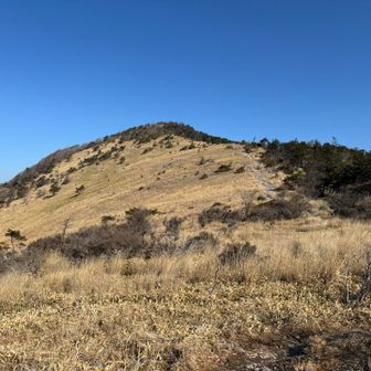 あそこに登るのかな？