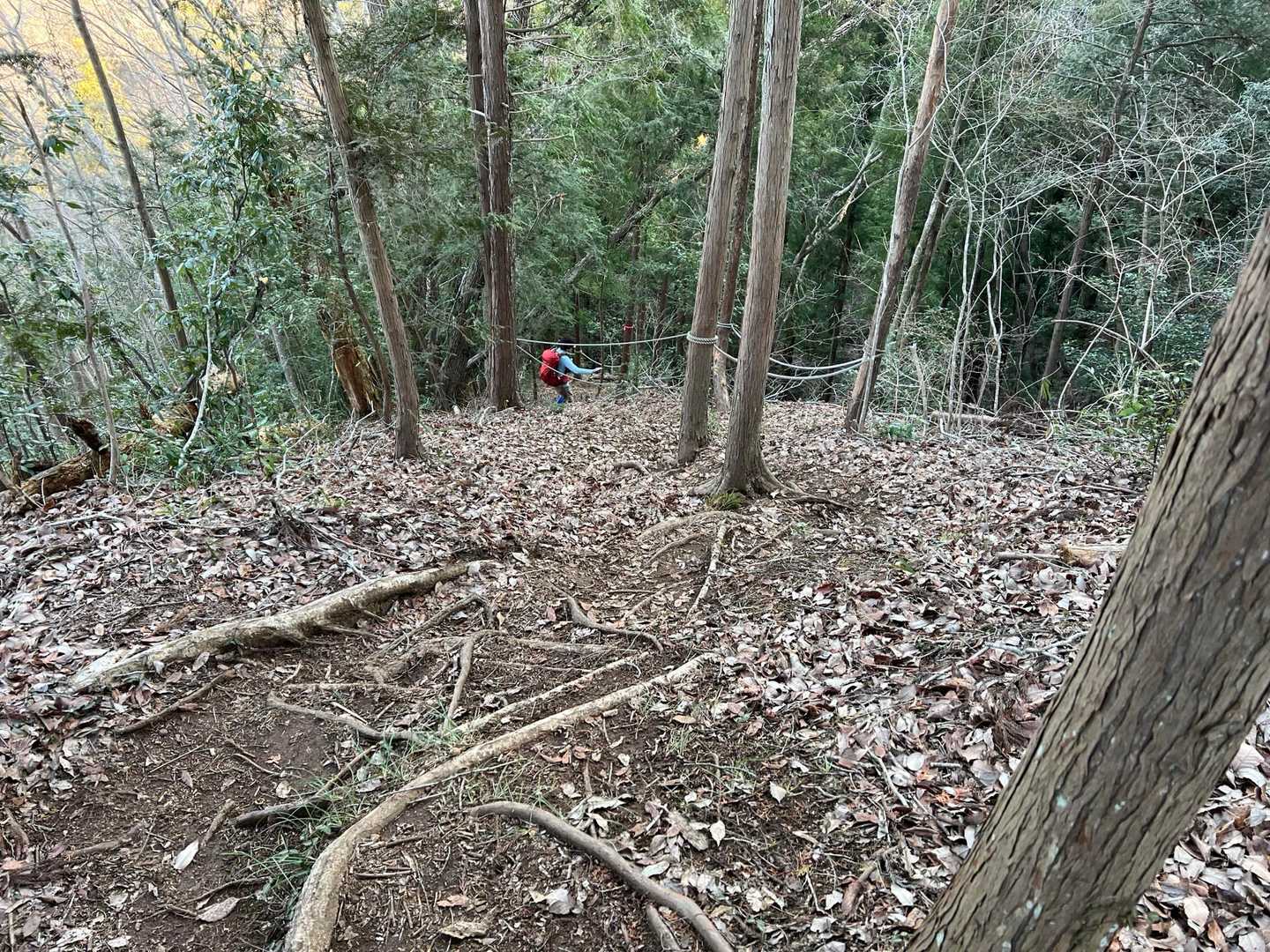 結構降ります。